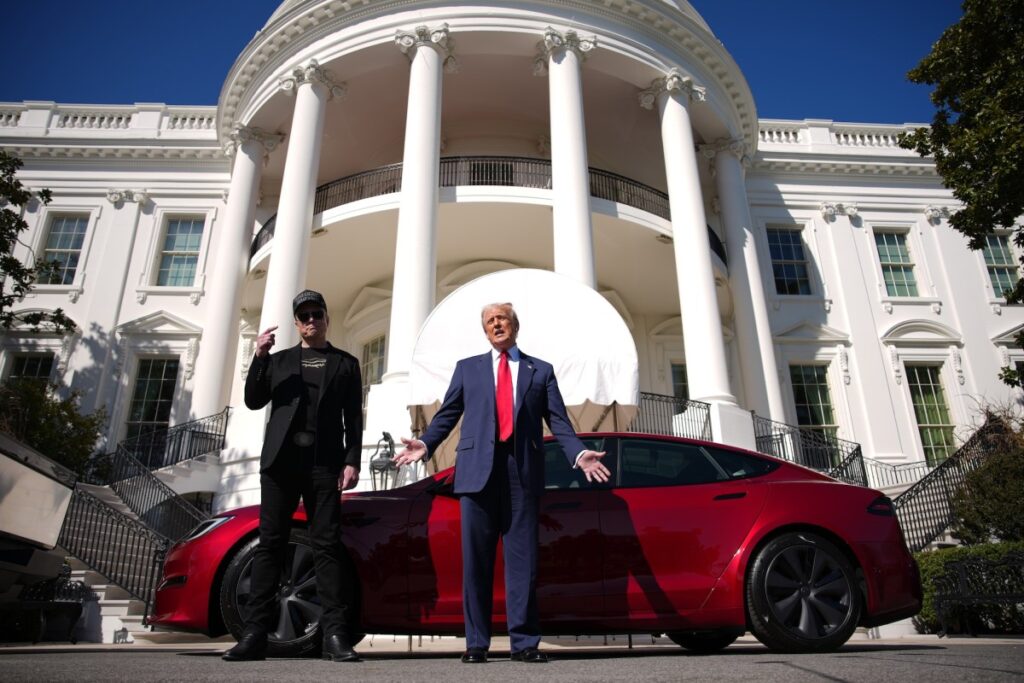 Elon Musk took a chainsaw to the US government. Tesla is taking the hit.