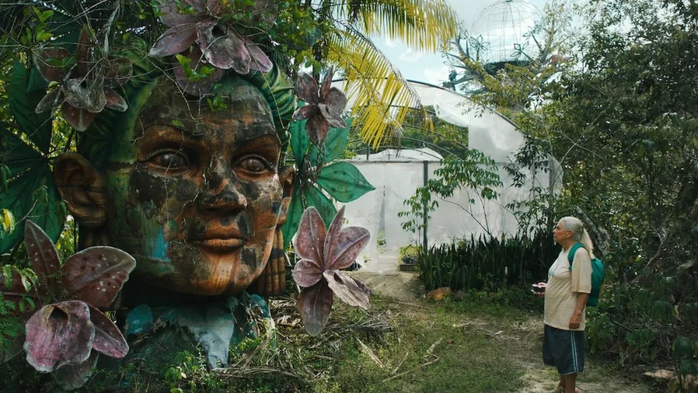 Costa Rica Film Festival Returns With First Female Head