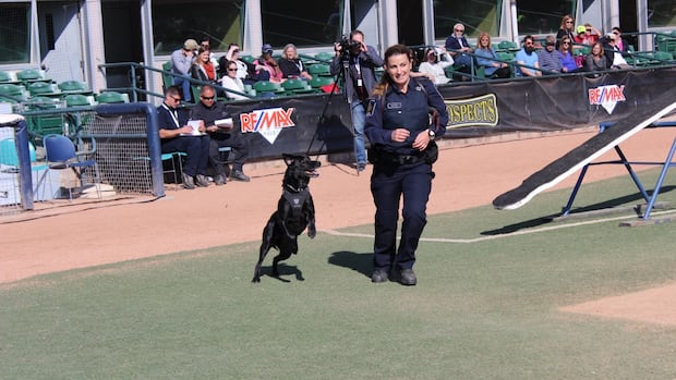Ex-CBSA dog handler who contested maternity leave policy faced ‘mobbing’ of harassment: report