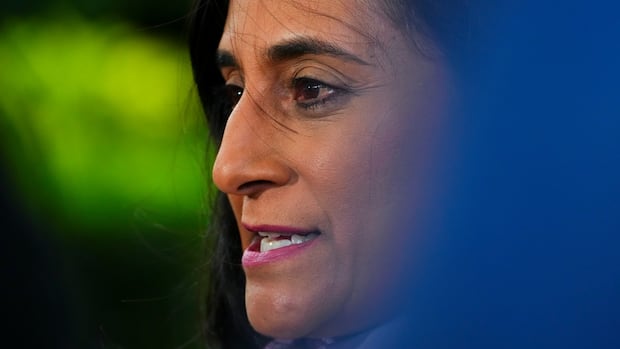 Foreign affairs minister ‘very concerned’ about Iranian sleeper cells in Canada