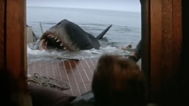 Jaws attacked 50 years ago, changing how we look at movies — and sharks