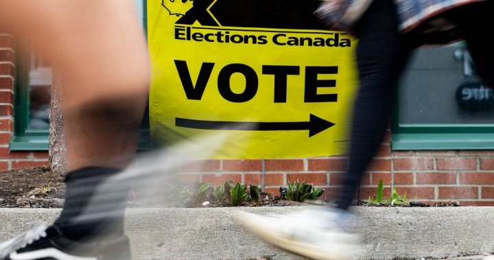 No evidence 2025 election affected by foreign interference: commissioner – National