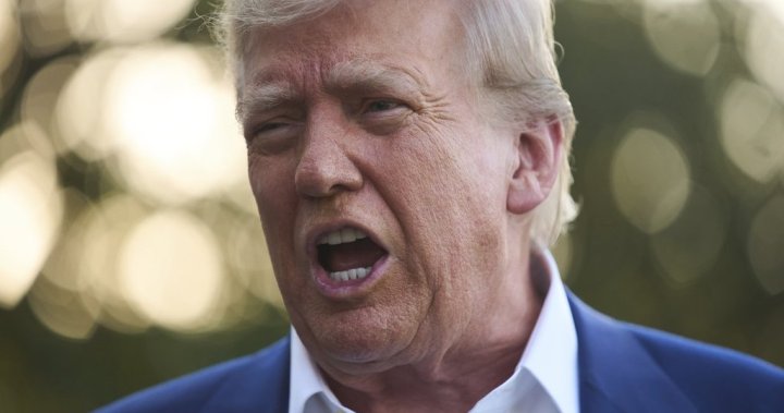 Trump says U.S. terminating trade talks with Canada ‘effective immediately’ – National