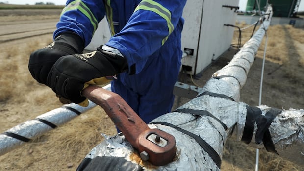 First Nations opposition to Bill C-5 draws comparisons to Idle No More movement
