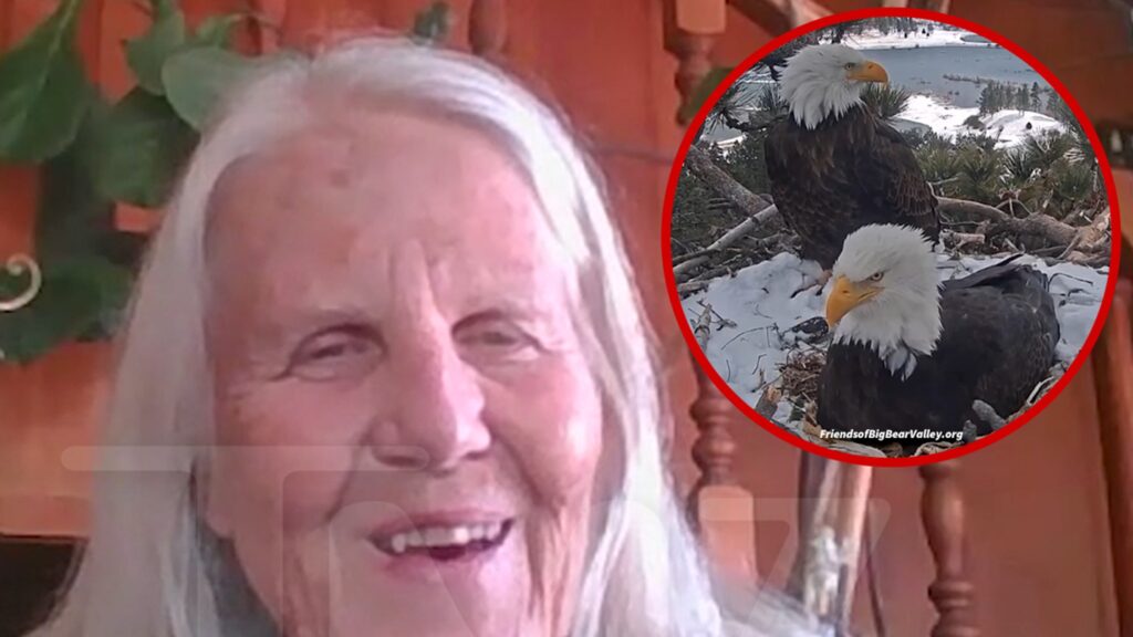 Wildlife Advocate Says Eaglets in Big Bear at Risk Because of 4th of July Fireworks